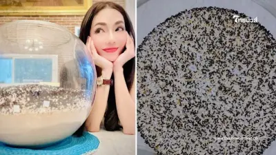 โค้งสุดท้ายแล้ว "อ๋อม สกาวใจ" จัดเต็ม เปิดเลขน้องกระดิ่ง เห็นเลขชัด โค้งสุดท้ายแล้ว "อ๋อม สกาวใจ" จัดเต็ม เปิดเลขน้องกระดิ่ง เห็นเลขชัด