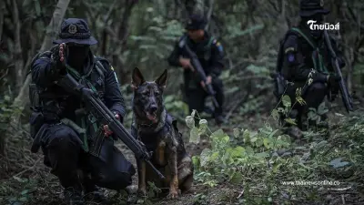 K9 ชุดเฝ้าตรวจชายแดน ทหารพรานที่ 13 เสริมกำลังเฝ้าระวังแนวชายแดน
