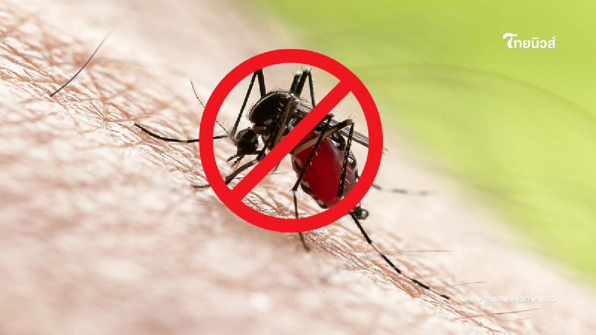 .กรมควบคุมโรคเตือน! ระวังโรคชิคุนกุนยา แนะวิธีป้องกัน 5 ขั้นตอนง่าย ๆ.
