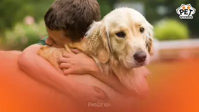 ทำไมสุนัขถึงรักเจ้าของมาก? สายใยพิเศษระหว่างสุนัขกับมนุษย์