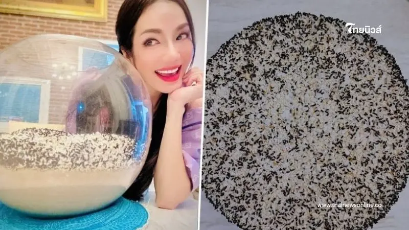โค้งสุดท้ายแล้ว "อ๋อม สกาวใจ" เปิดเลขน้องกระดิ่งให้ซูมแบบชัดๆ