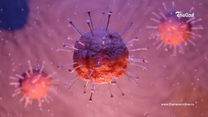 ฤดูระบาดไวรัส RSV ในเด็กทารกอายุน้อยกว่า 2 ปี และกลุ่มผู้สูงอายุ