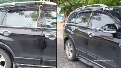 ตกใจ ประตูรถหนีบ "งูเขียว" ในวันเข้าพรรษา หลุดโฟกัสส่องทะเบียนรถ