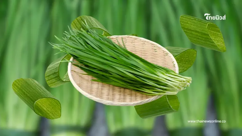 หมอแนะผู้ชายควรกิน ผักเสริมพลังชาย ตัวช่วยฟิต สุขภาพดีแบบไม่ต้องพึ่งยา