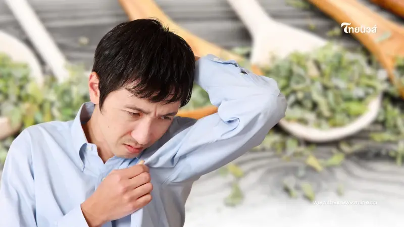 กลิ่นตัวเปรี้ยวไม่ใช่เรื่องตลก สมุนไพรไทยช่วยระงับกลิ่นกาย กลิ่นตัวเปรี้ยวไม่ใช่เรื่องตลก สมุนไพรไทยช่วยระงับกลิ่นกาย