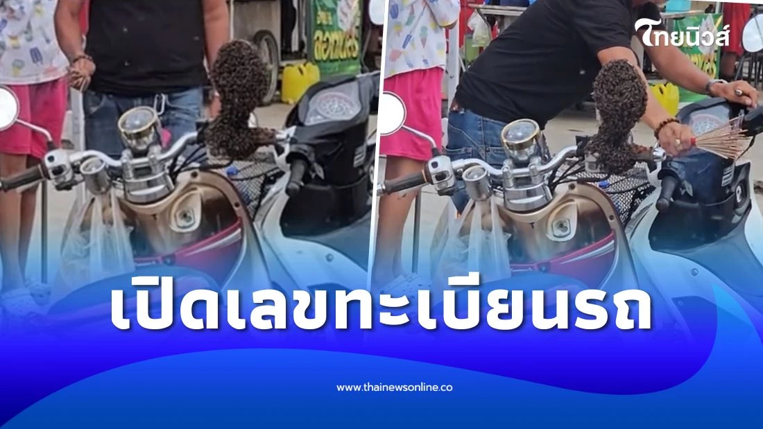 แห่ส่องเลขทะเบียน เจ้าของตกใจ จอดรถแป๊บเดียว ผึ้งฝูงใหญ่มาทำรัง | ไทยนิวส์