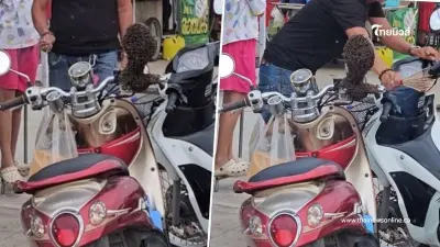 แห่ส่องเลขทะเบียน เจ้าของตกใจ จอดรถแป๊บเดียว ผึ้งฝูงใหญ่มาทำรัง