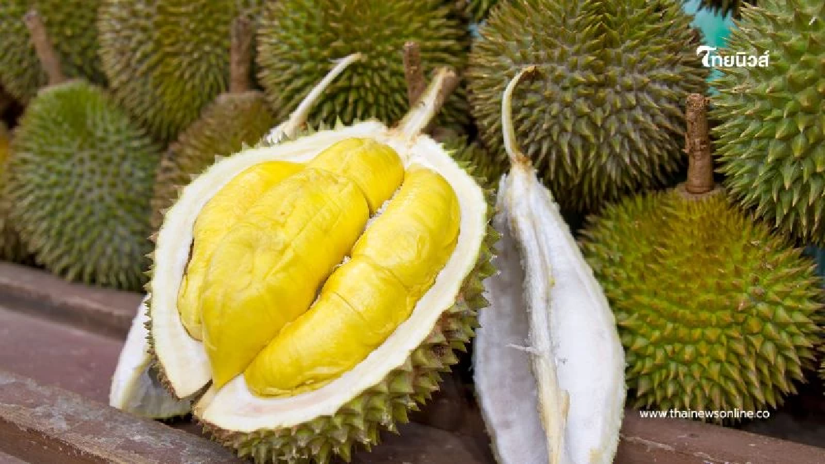 ห้ามทำ กินทุเรียนกับเหล้า อาจทำให้หัวใจวาย-หมดสติได้