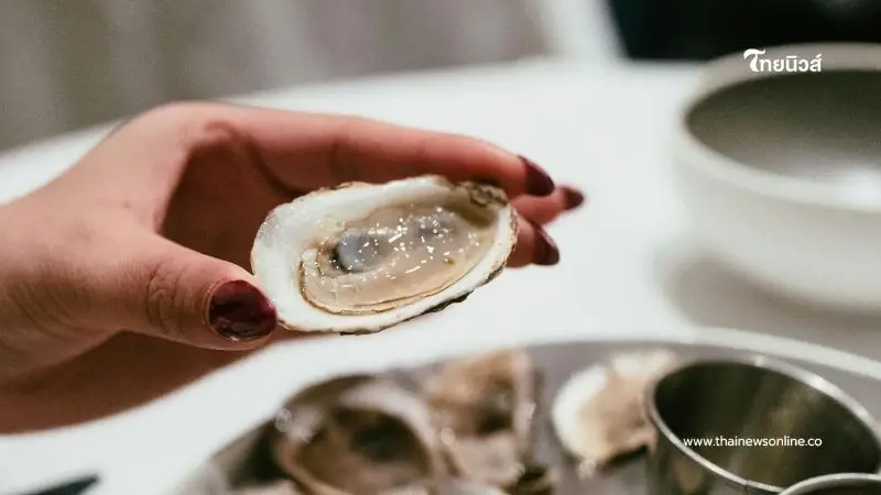 เตือนภัย กิน "หอยนางรมดิบ" เสี่ยงติดเชื้อในกระแสเลือดถึงขั้นเสียชีวิต