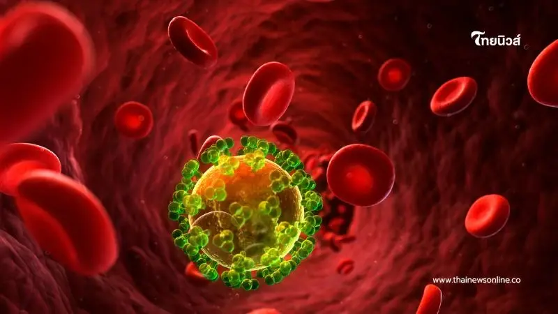 ทำไมต้องรีบรักษา HIV เปิดเหตุผลสำคัญที่เชื้อทำลายภูมิคุ้มกัน จนเสี่ยงเข้าสู่ระยะเอดส์ ทำไมต้องรีบรักษา HIV เปิดเหตุผลสำคัญที่เชื้อทำลายภูมิคุ้มกัน จนเสี่ยงเข้าสู่ระยะเอดส์