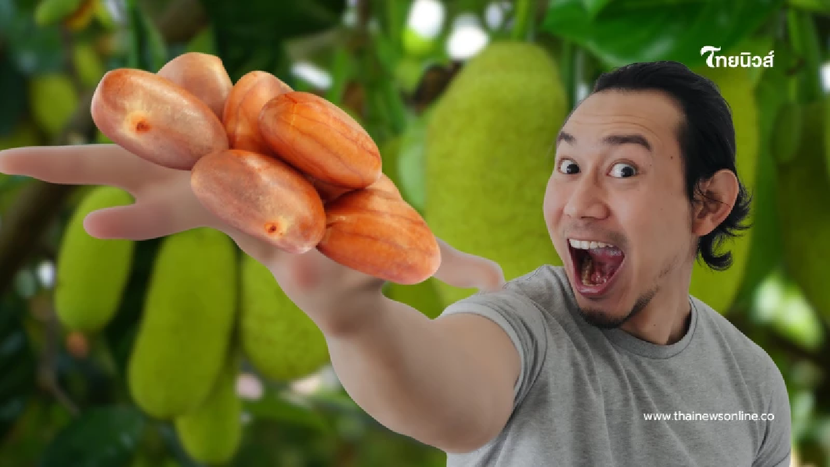 คนไทยทิ้ง ญี่ปุ่นซื้อแพง “ซูเปอร์ฟู้ด” กินเป็นยา บำรุงสุขภาพ