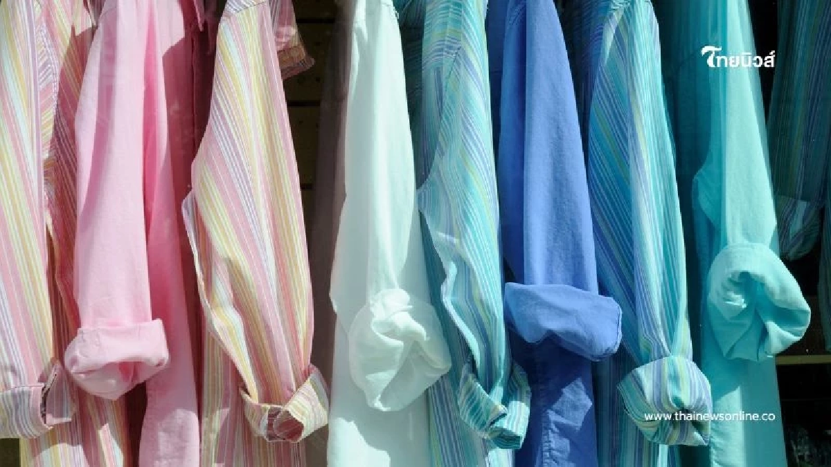 1 ก.ย. 68 สีเสื้อควรเลี่ยง และสิ่งที่สายมูควรรู้ วันนี้มีคำตอบ 1 ก.ย. 68 สีเสื้อควรเลี่ยง และสิ่งที่สายมูควรรู้ วันนี้มีคำตอบ