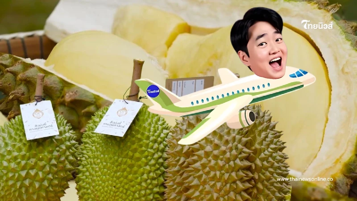 ไขรหัสลับ "ทุเรียน GI" ตามรอยราชาผลไม้ไทย จากเหนือจรดใต้