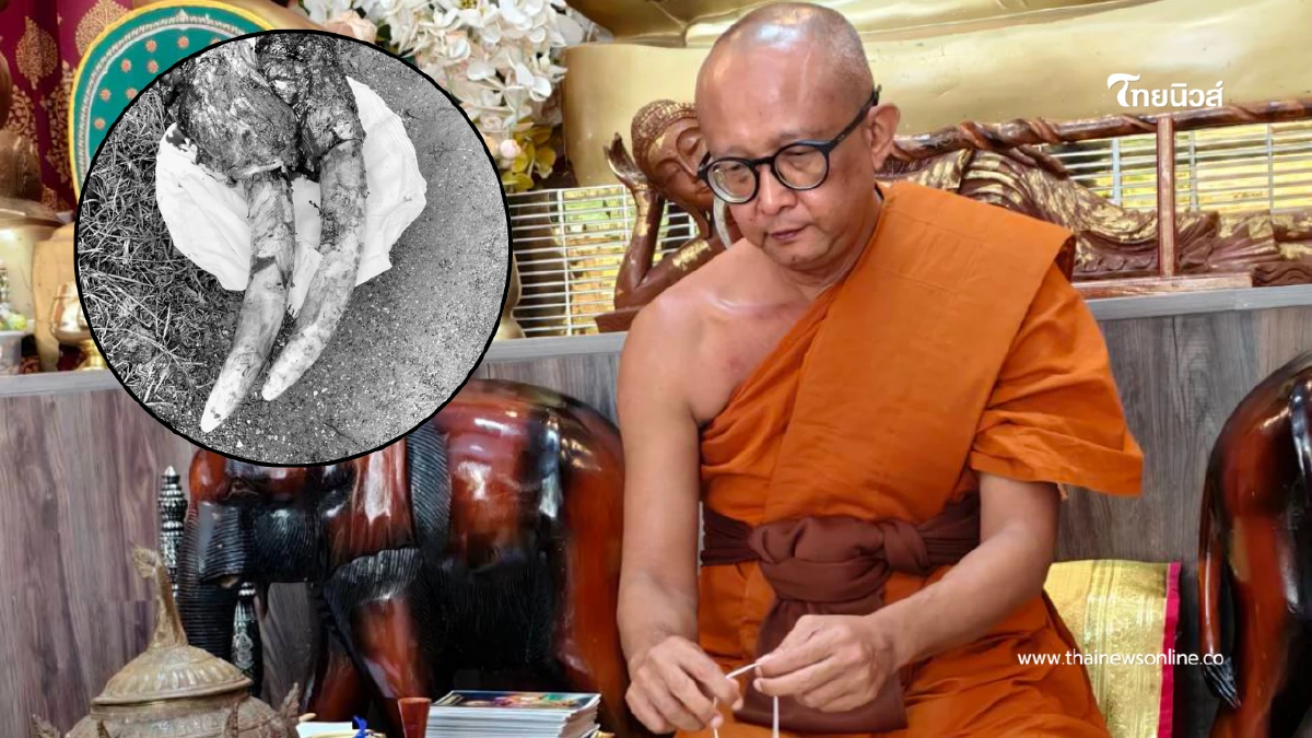 เขาใหญ่ แจงปมการตายพลายขุนศึก ย้ำทุกขั้นตอนโปร่งใสตามระเบียบ เขาใหญ่ แจงปมการตายพลายขุนศึก ย้ำทุกขั้นตอนโปร่งใสตามระเบียบ