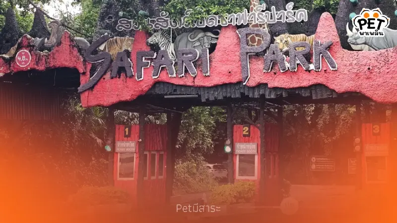ประวัติซาฟารีเวิลด์ สวนสัตว์เปิดและสวนสนุกชื่อดังกว่า 30 ปี
