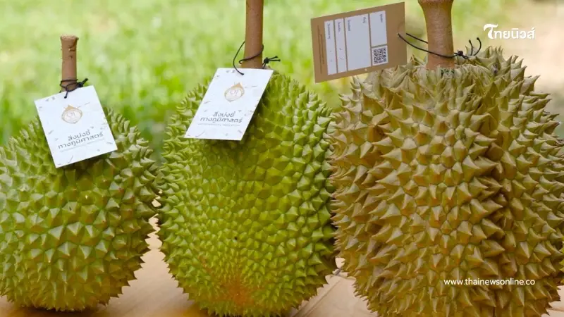 "ทุเรียน"ราชาแห่งผลไม้ไทย กับ รหัสลับ GI ที่โลกต้องรู้จัก