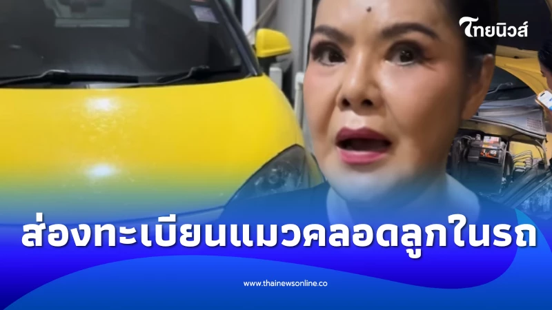 ฮาย อาภาพร เปิดทะเบียนแมวคลอดลูกในรถ ชาวเน็ตถึงกับโฟกัส | ไทยนิวส์