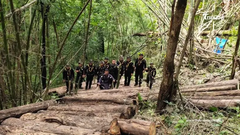 สกัดลักลอบตัดไม้สักป่าดอยพระเจ้า ยึด 103 ท่อน มูลค่ากว่า 2.4 ล้าน สกัดลักลอบตัดไม้สักป่าดอยพระเจ้า ยึด 103 ท่อน มูลค่ากว่า 2.4 ล้าน