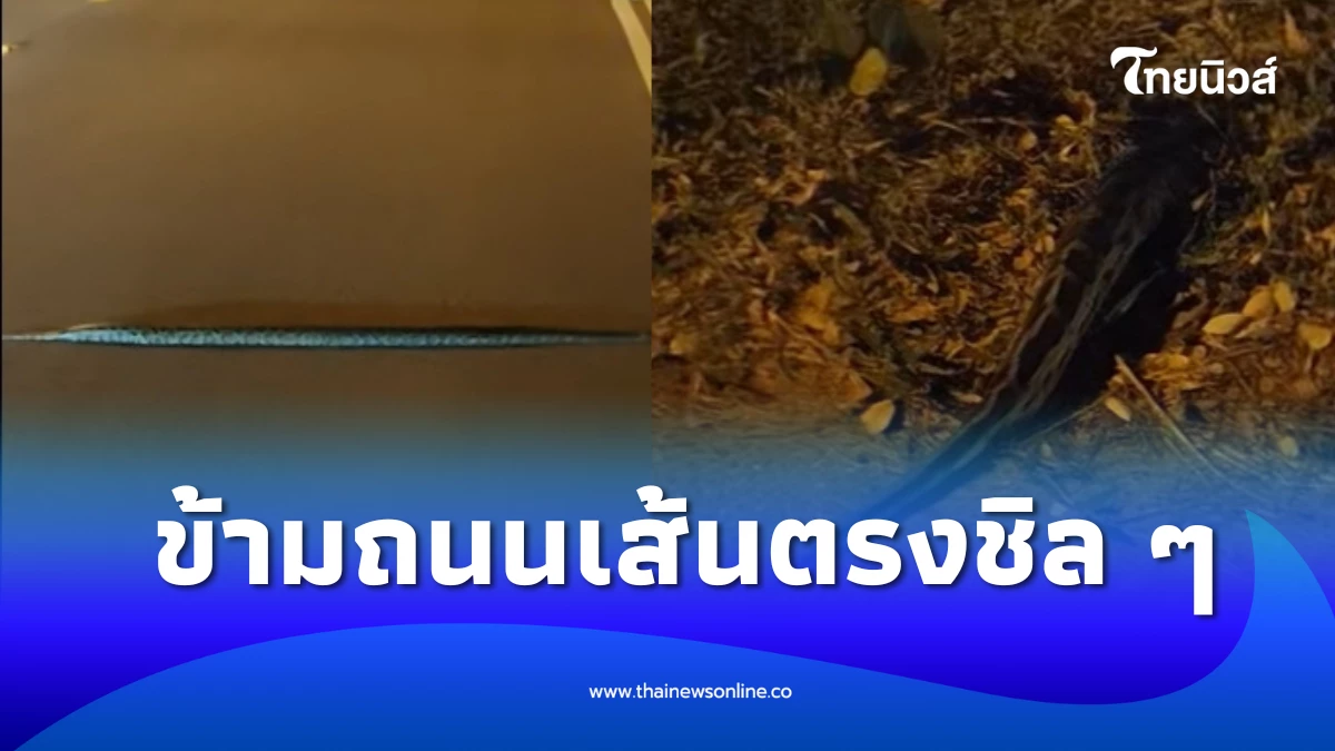 สรุปข่าวหวยล่าสุด