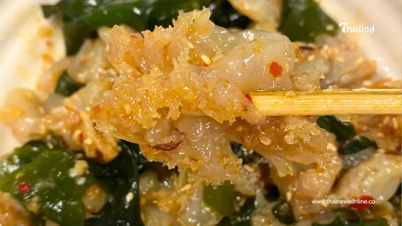 แจกสูตร "แมงกะพรุนวากาเมะคลุกน้ำมันงา" อร่อยกรุบ หยุดไม่ได้ แจกสูตร "แมงกะพรุนวากาเมะคลุกน้ำมันงา" อร่อยกรุบ หยุดไม่ได้