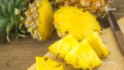 ระวัง "โรคผลแกน" ในสับปะรด ภายนอกปกติแต่ข้างในเละ แนะวิธีแก้ไข