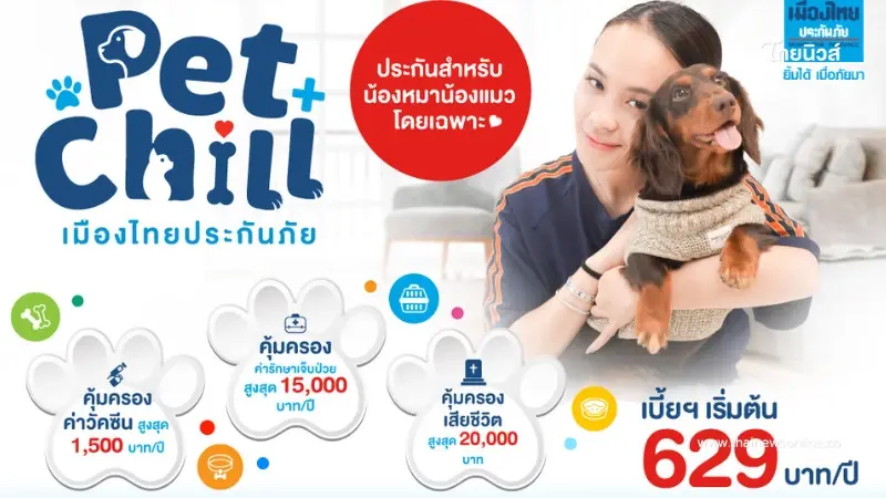 เมืองไทยประกันภัย ส่ง"ประกันสัตว์เลี้ยง Pet Chill"  รับ Pet Humanization