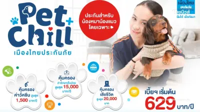 เมืองไทยประกันภัย ส่ง"ประกันสัตว์เลี้ยง Pet Chill" รับ Pet Humanization เมืองไทยประกันภัย ส่ง"ประกันสัตว์เลี้ยง Pet Chill" รับ Pet Humanization