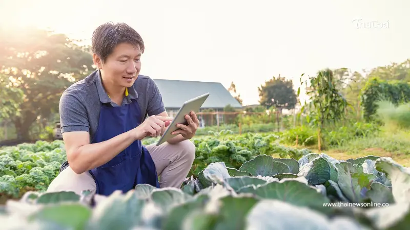 ไขข้อสงสัย! จำนำที่ดินกับศรีสวัสดิ์ จะได้รับเงินในกี่วัน