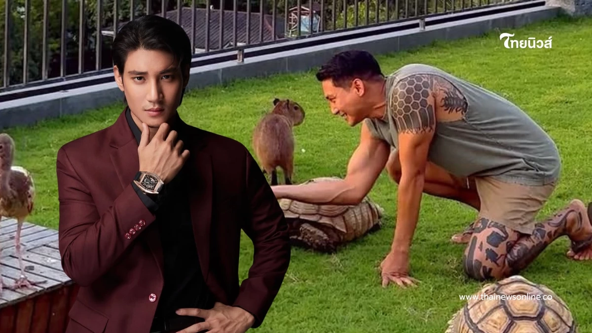 หรูหราสุดๆ “ไป่ ทาคน” เนรมิตสวนสัตว์บนดาดฟ้า เลี้ยงสัตว์หายากเพียบ
