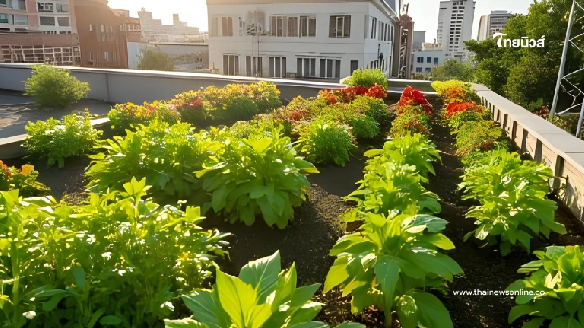 Urban Farming แนวใหม่ ปลูกผักบนดาดฟ้า เปลี่ยนเมืองเป็นฟาร์มในฝัน