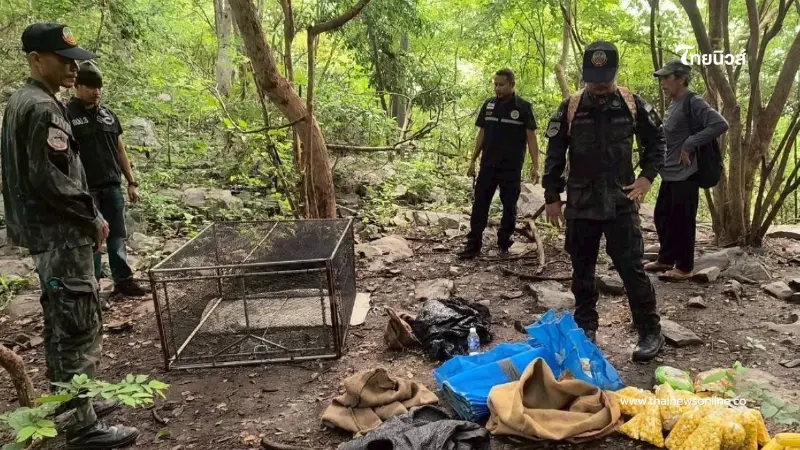 อุกอาจ แก๊งล่าลิงแสม คนร้ายเผ่นทิ้งของกลางเห็นภาพแล้วหดหู่