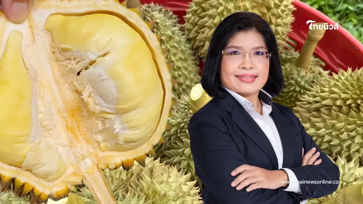 กรมทรัพย์สินทางปัญญา ดัน "ทุเรียนชุมพร" ขึ้นแท่น GI น้องใหม่