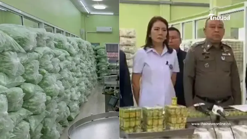 บุกยึดยาดมยี่ห้อดัง 2.4 ล้านชิ้น สั่งปิดโรงงานชั่วคราวแล้ว 2 แห่ง บุกยึดยาดมยี่ห้อดัง 2.4 ล้านชิ้น สั่งปิดโรงงานชั่วคราวแล้ว 2 แห่ง