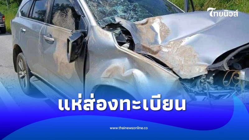 ส่องทะเบียน พ่อค้าลอตเตอรี่ ถูกช้างป่าภูหลวง กระโดดเหยียบรถ | ไทยนิวส์
