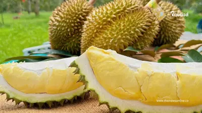 "ทุเรียนหมอนทองเขาบรรทัด" โกยรายได้หมื่นล้าน ครองแชมป์ GI ปี 68