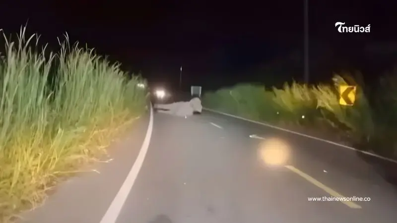 อุบัติเหตุรถตู้พยาบาลชนช้างป่ากลางดึก อาสากู้ภัยบาดเจ็บ 3 ราย อุบัติเหตุรถตู้พยาบาลชนช้างป่ากลางดึก อาสากู้ภัยบาดเจ็บ 3 ราย