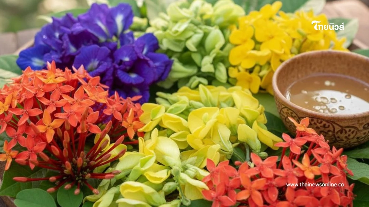 10 ดอกไม้กินได้ สวยแถมมีประโยชน์ต่อร่างกาย เติมสีสันในจานอาหาร 10 ดอกไม้กินได้ สวยแถมมีประโยชน์ต่อร่างกาย เติมสีสันในจานอาหาร