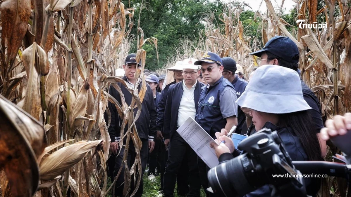ลงพื้นที่ Crop Cutting เพชรบูรณ์ "สศก."ยันหลักข้อมูลสถิติการเกษตรตรวจสอบได้ ลงพื้นที่ Crop Cutting เพชรบูรณ์ "สศก."ยันหลักข้อมูลสถิติการเกษตรตรวจสอบได้