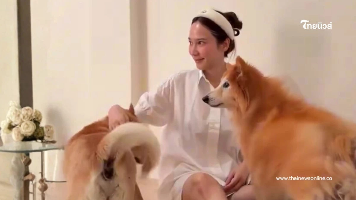 โมเมนต์ในบ้านสุดน่ารักของซุปตาร์ตัวแม่ “อั้ม พัชราภา”