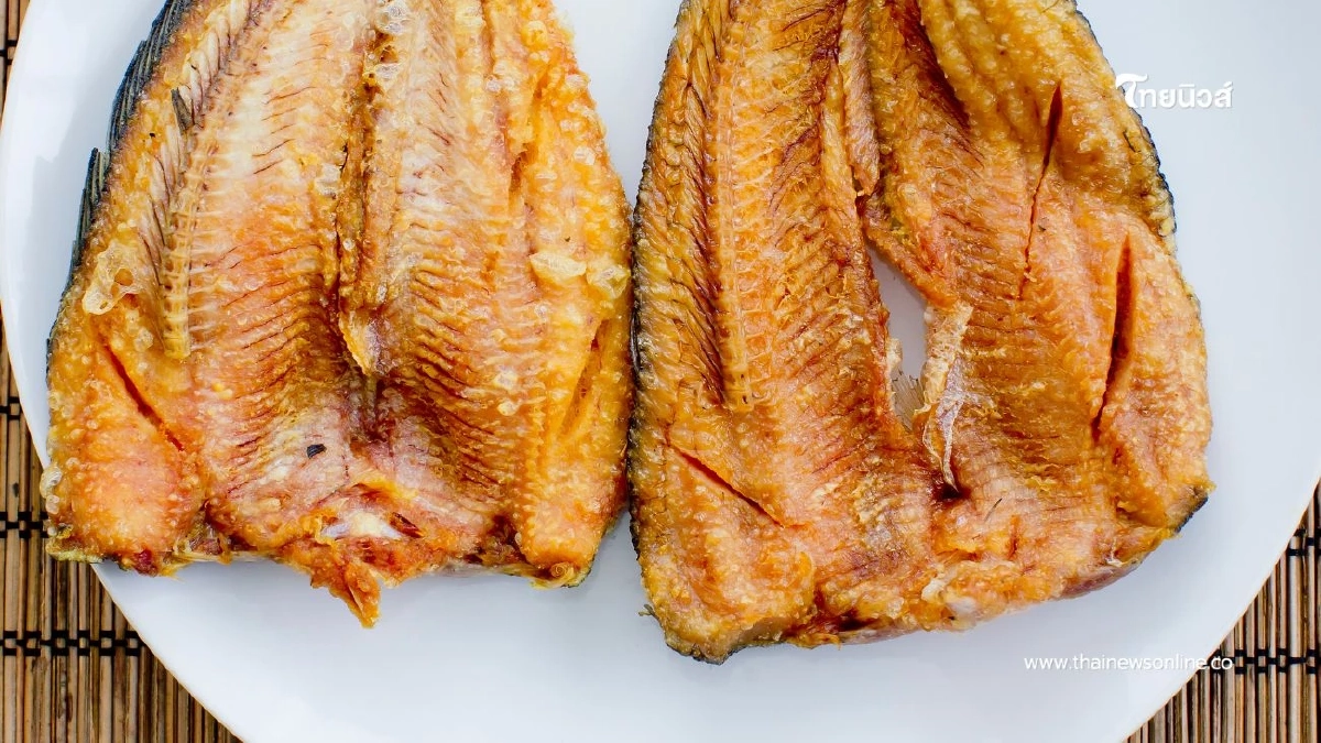 5 อันดับปลาดี มีโอเมก้า 3 สูง บำรุงสมอง หัวใจ หาได้ง่ายในประเทศ