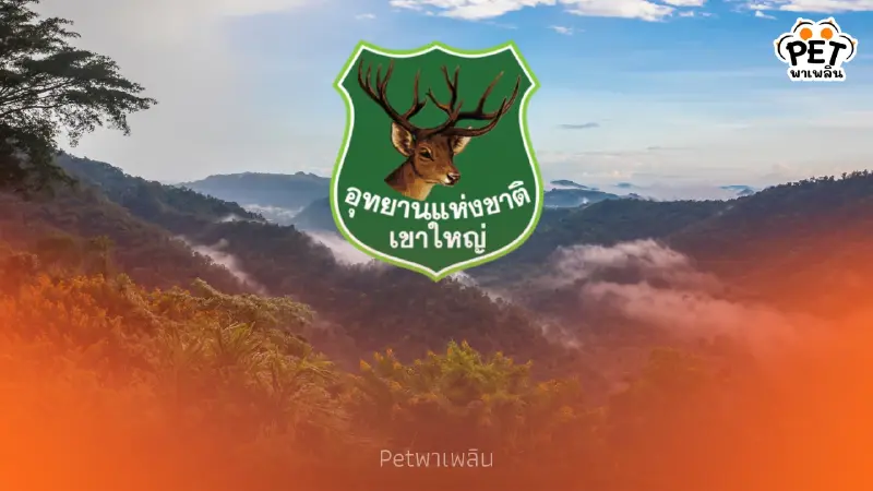 เปิดความหมายโลโก้ “อุทยานแห่งชาติเขาใหญ่” ที่มากกว่าความสวยงาม