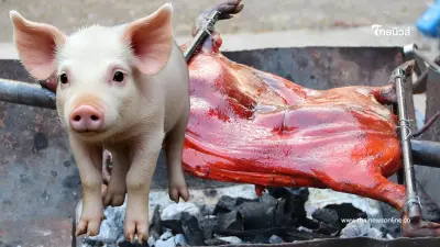 ยุทธการ "หมูหัน" 1 แสนตัว แผนเด็ดพยุงราคาหมู ต่อลมหายใจเกษตรกรไทย ยุทธการ "หมูหัน" 1 แสนตัว แผนเด็ดพยุงราคาหมู ต่อลมหายใจเกษตรกรไทย