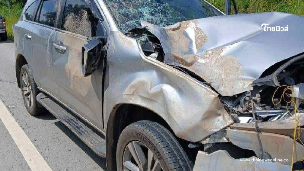 .ส่องทะเบียน พ่อค้าลอตเตอรี่ ถูกช้างป่าภูหลวง กระโดดเหยียบรถ.