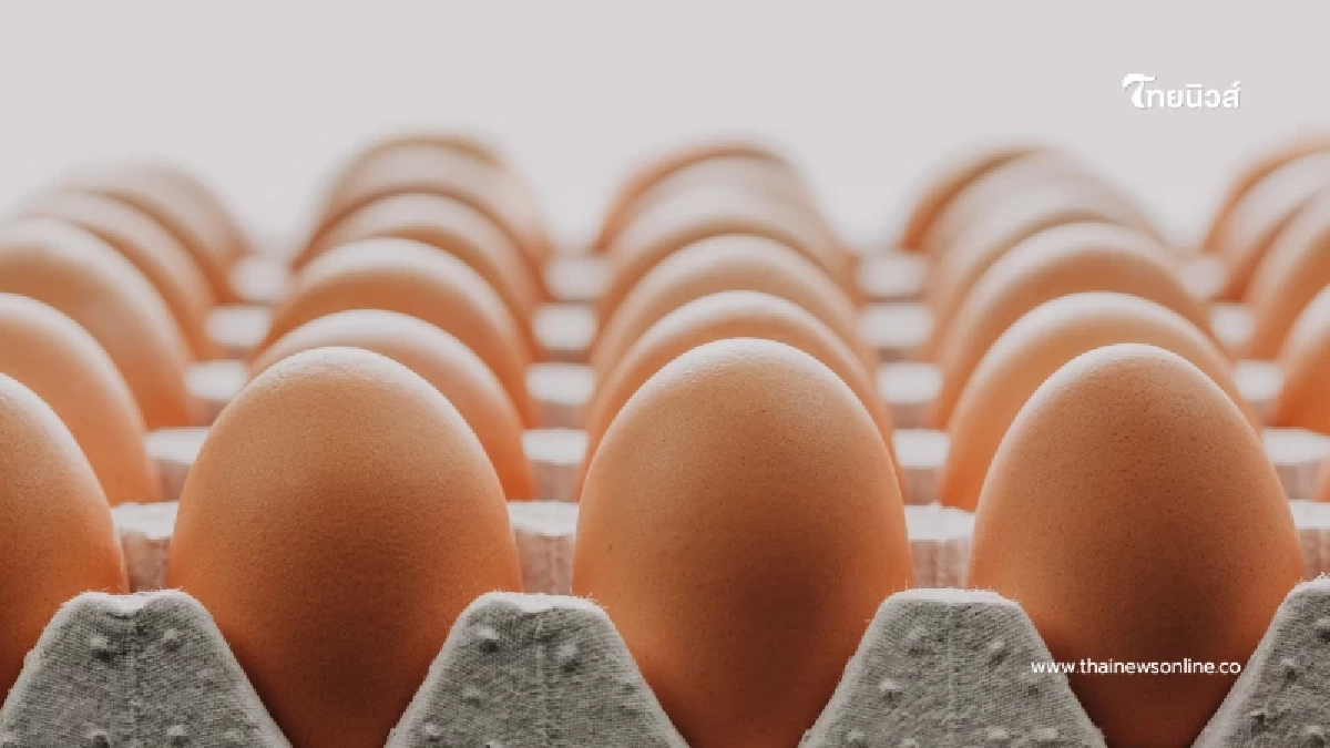 เผยเคล็ดลับเลือก ไข่ไก่เบอร์ไหนคุ้มสุด ทั้งคุณภาพและราคา! เผยเคล็ดลับเลือก ไข่ไก่เบอร์ไหนคุ้มสุด ทั้งคุณภาพและราคา!