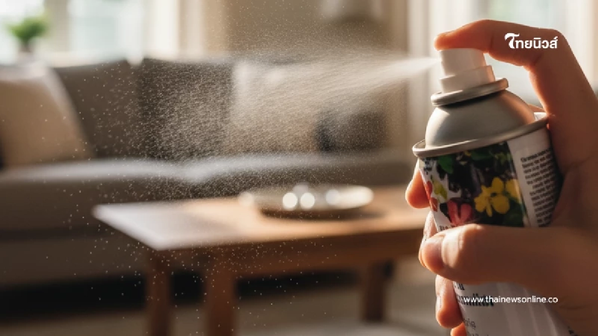 4 สิ่งอันตรายในบ้านที่ควรทิ้ง ถ้าอยากมีชีวิตที่สดใสในโลกใบนี้ 4 สิ่งอันตรายในบ้านที่ควรทิ้ง ถ้าอยากมีชีวิตที่สดใสในโลกใบนี้