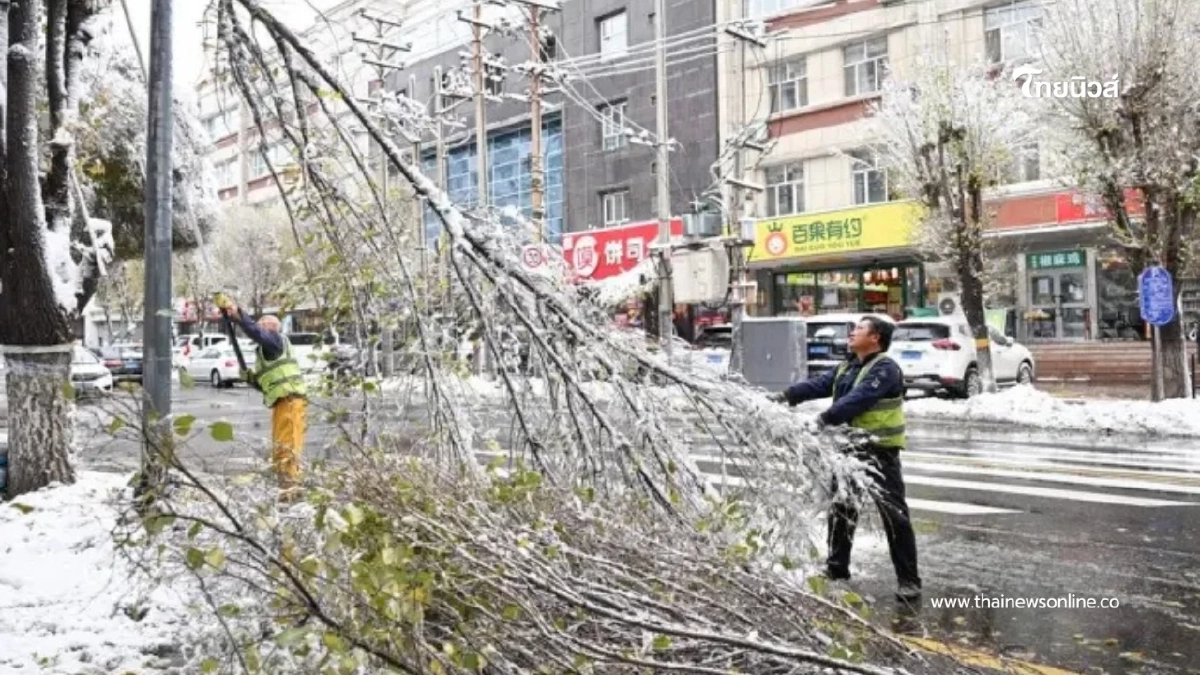 พายุหิมะถล่มซินเจียง! อุรุมชี เจอสถิติใหม่ หิมะตกหนักสุดในรอบปี พายุหิมะถล่มซินเจียง! อุรุมชี เจอสถิติใหม่ หิมะตกหนักสุดในรอบปี