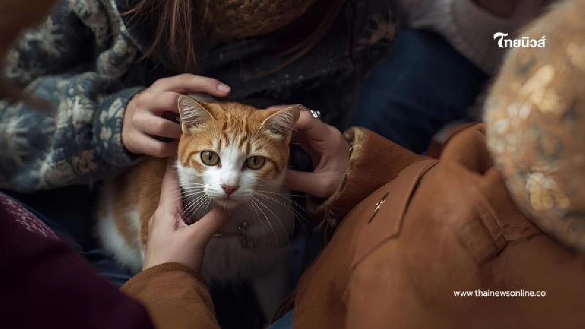 ทำไมลูบขนแมวแล้วแมวต้อง “เลียตัวเอง”? ไขพฤติกรรมที่เจ้าของหลายคนสงสัย ทำไมลูบขนแมวแล้วแมวต้อง “เลียตัวเอง”? ไขพฤติกรรมที่เจ้าของหลายคนสงสัย