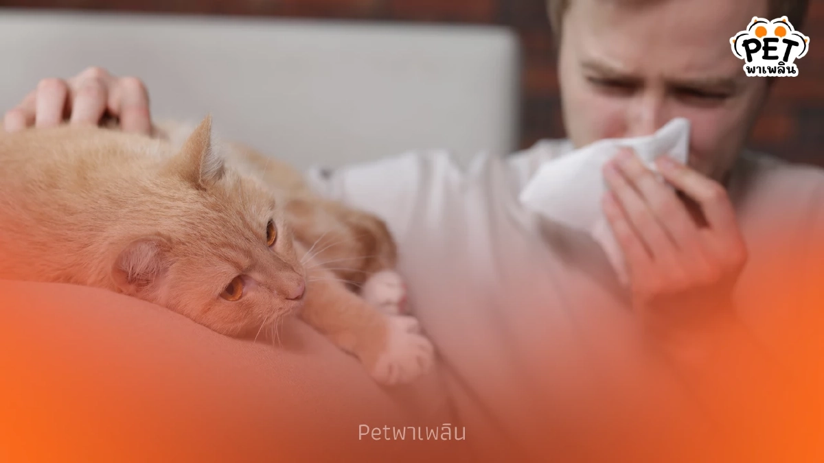 "เรื่องจริงสุดพีค!! ไขพฤติกรรมสัตว์เลี้ยงแกล้งป่วย" "เรื่องจริงสุดพีค!! ไขพฤติกรรมสัตว์เลี้ยงแกล้งป่วย"