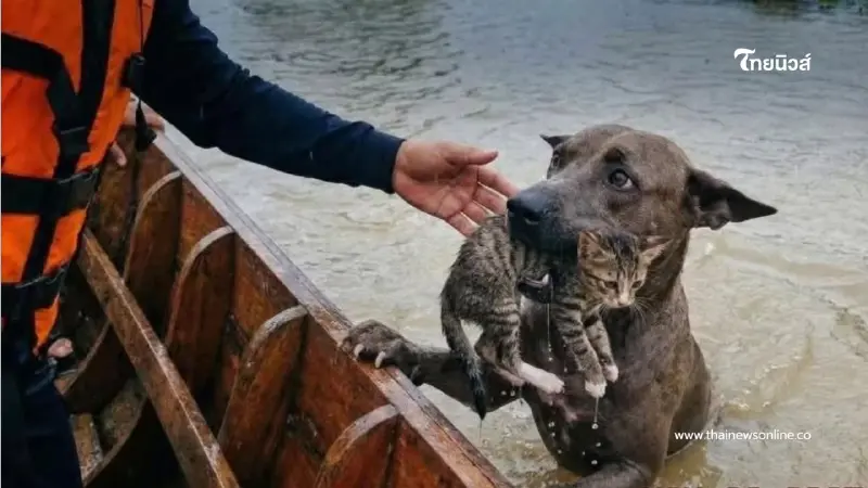 แนะนำเครื่องมือ Gemini ใช้ตรวจสอบภาพว่าจริงหรือภาพ AI