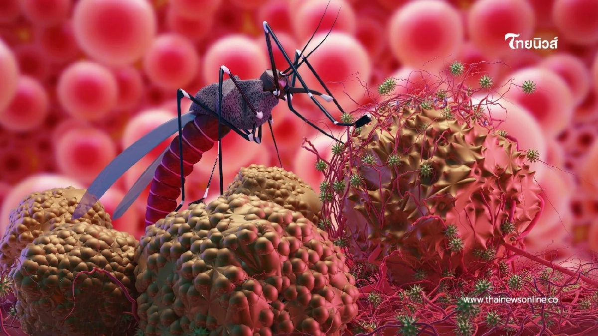 ยุงกัดแม่ เสี่ยงลูกพิการ เช็คอาการ ไวรัสซิกา ที่คนท้องควรระวัง